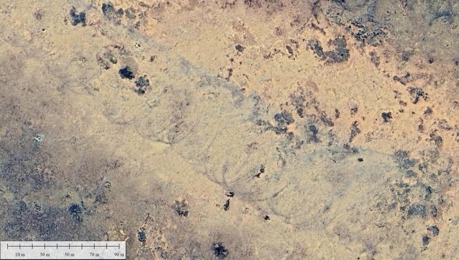 "Cycloidal marks" can be seen in the tornado scar, caused by multiple vortexes, in the Australian outback.