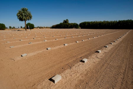 Landscape with stone grave markers.