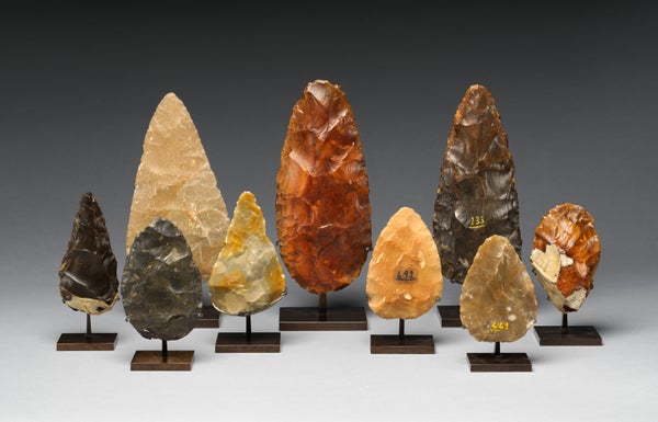 A still life image of stone tools with sharpened edges and points shown on a white and grey backdrop.