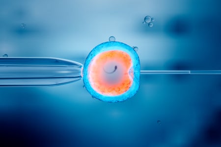 3d illustration of artificial insemination, or in vitro fertilization, of an egg cell.