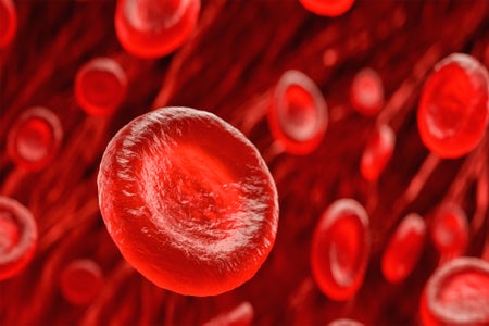 Digital illustration, healthy red blood cells flowing inside a vein