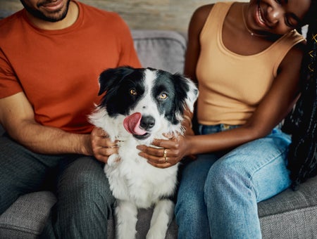 An unrecognisable couple sitting on the sofa at home - he in orange T-Shirt and woman in yellow tank top and jeans.with their Border Collie