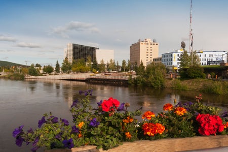 Downtown skyline with shoreline and floral landscaping