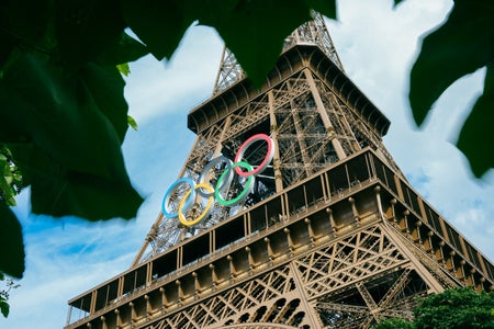 Giant Olympic rings are seen fixed on the Eiffel tower, photographed from the grown below, framed by a tree's leaves closer to the camera