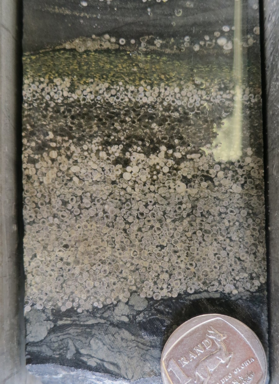 Photograph of pure layer of spherules derived from the S3 meteorite impact with a coin used for scale