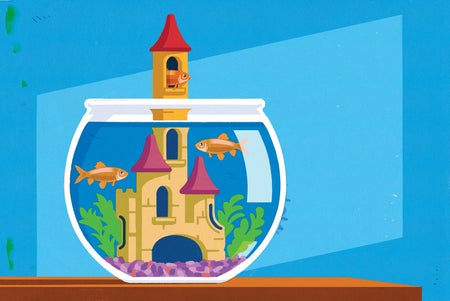 Illustration of two fish in a fish bowl with a castle poking out of the top