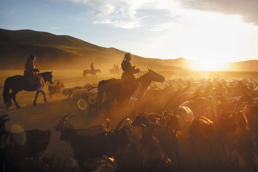 Photograph of a nomadic family corrals livestock on horseback