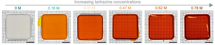 Photographs of scattering phantoms composed of agarose hydrogels containing increasing concentrations of tartrazine while keeping the concentration of silica particles the same. Scale bars: 5 mm