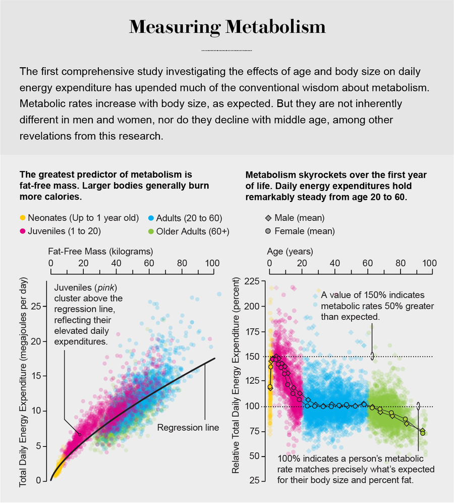 One chart plots total daily energy use against fat-free body mass; another plots relative daily energy use against age.