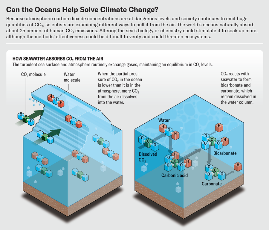 Graphic shows how seawater absorbs carbon dioxide from the air.