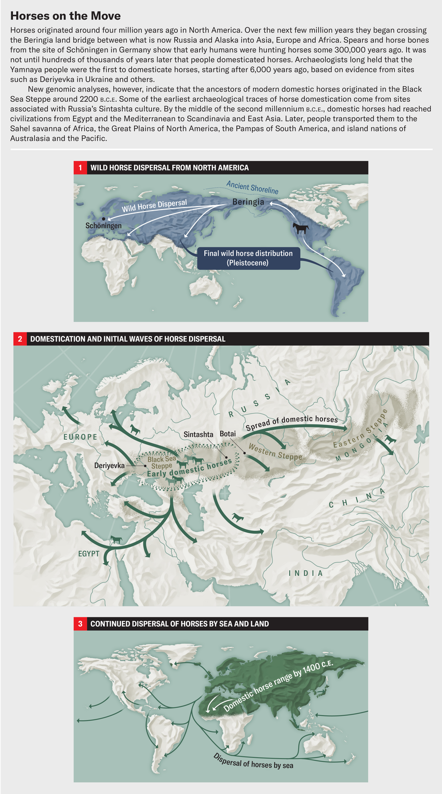 Maps show wild horse dispersal from North America, domestication and initial waves of domestic horse dispersal from the Black Sea Steppe, and continued global dispersal by land and sea.