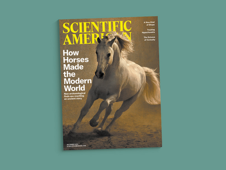 Cover of the December 2024 issue of Scientific American against a green background