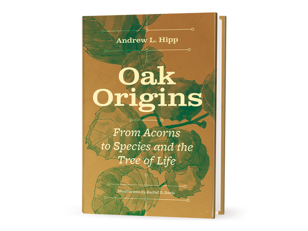 Cover of the book Oak Origins